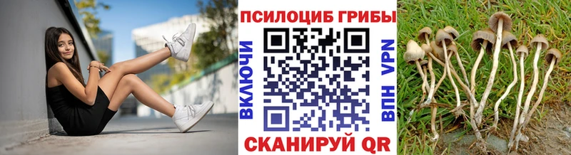 Галлюциногенные грибы MAGIC MUSHROOMS  Киржач 